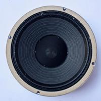 Altoparlante Rola Celestion G10-50 15 Ohm Marshall