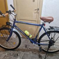 BICICLETTA BOTTECCHIA COLIBRI 883 PARAFANGHI LUCI