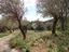 Immagine 11