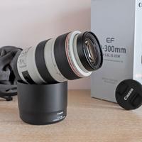 CANON EF 70-300 f/4-5.6 IS L