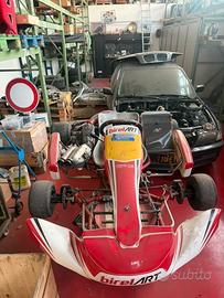 Kart Birel s11 kz-r1
