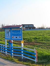 Alloggio