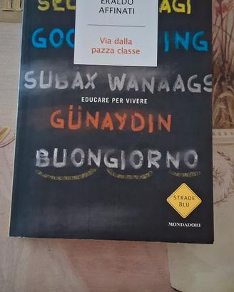 Via dalla pazza classe