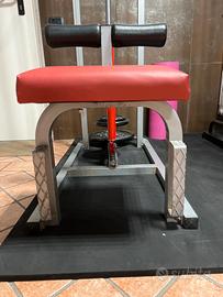 Lat machine palestra