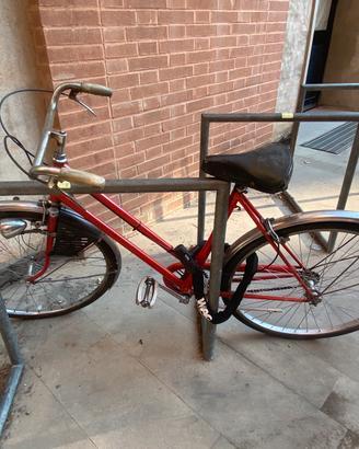 Bici da donna