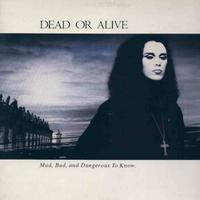 Dead Or Alive - Mad, Bad, And Dangerous To Know