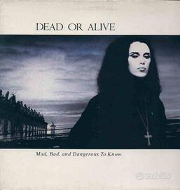 Dead Or Alive - Mad, Bad, And Dangerous To Know