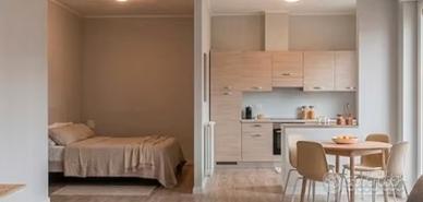 Loft con P. auto - Centocelle
