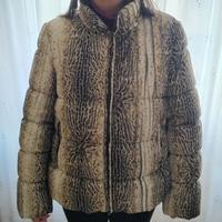 Giubbino Roberto Cavalli Class