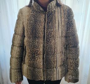 Giubbino Roberto Cavalli Class