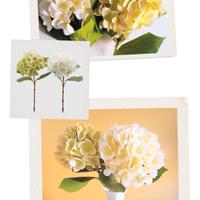 EDG Set due rami artificiali di ortensia nobile 