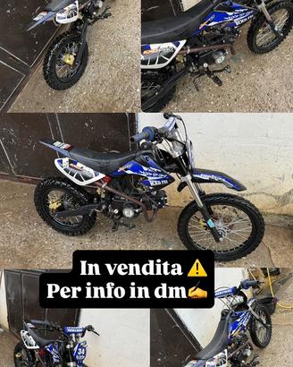 Pit bike 125