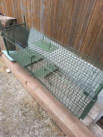 Esca per roditori e rovina famiglie