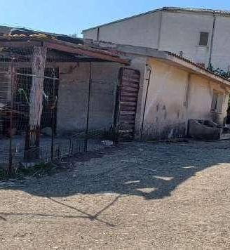 Immobile in asta di 2210 m² a Luras