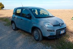 Fiat panda 2022