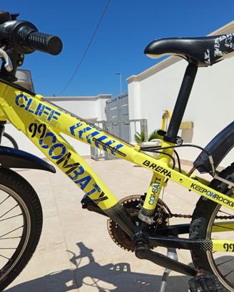 Bici MTB