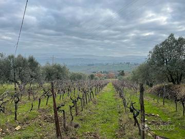 Terreno -vigna San Martino la Palma Firenze
