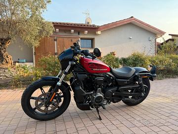 HARLEY DAVIDSON NIGHTSTER 975 COME NUOVA