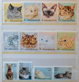 12 Francobolli a tema "Gatti" 