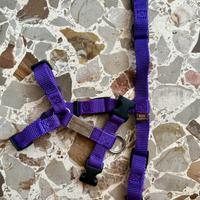 Pettorine per cuccioli/cani taglia piccola