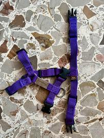 Pettorine per cuccioli/cani taglia piccola