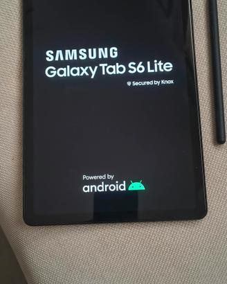 Galaxy Tab S6 Lite