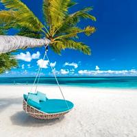 Direttore tecnico di agenzia di viaggi e turismo