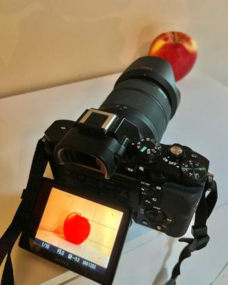 Mirrorless Sony Alpha 7 + Obiettivo 28-70