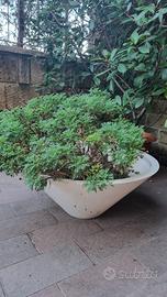 vaso ciotola bianco marca Corradi