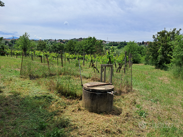 Terreno con pozzo e vigneto di 2000mq