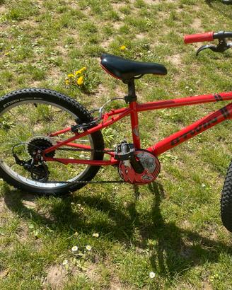 Bicicletta