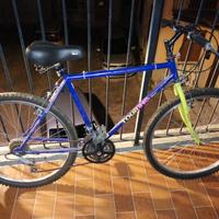 Bicicletta