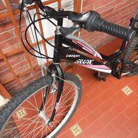 Bicicletta misura 26 