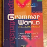Grammar World for italian students - Derek Sellen