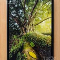 Stampa fotografica fine art ad alta risoluzione