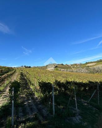 TER. AGRICOLO A CALAMANDRANA