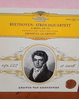 Ritiro Dischi in Vinile di Musica Clasica 