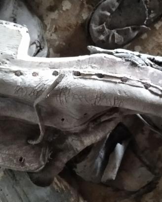Scarpe antiche