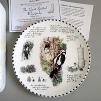 Piatto Uccelli. Porcellana Wedgwood. 20cm. N3