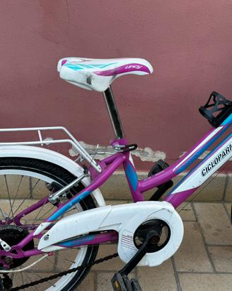 Bicicletta