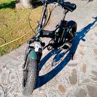  E-bike Icon Marine S  