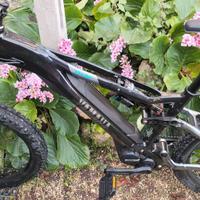 Bici elettrica Moro 7