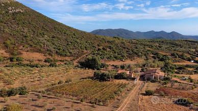 Spelndido Rustico Loc. Monte Arrubiu