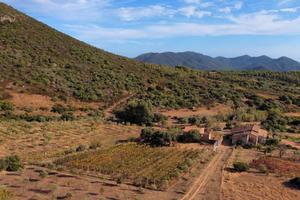 Spelndido Rustico Loc. Monte Arrubiu