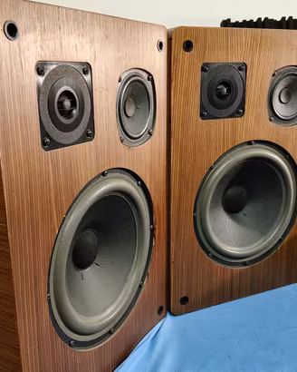 casse acustiche diffusori GOLDEN VOICE MODEL 253