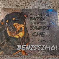 targa simpatica dissuasore 