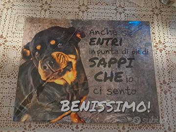 targa simpatica dissuasore 