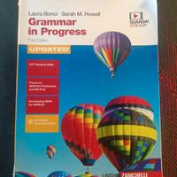 Zanichelli grammar in progress