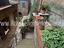 Immagine 20