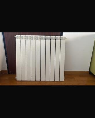Radiatore 10 elementi